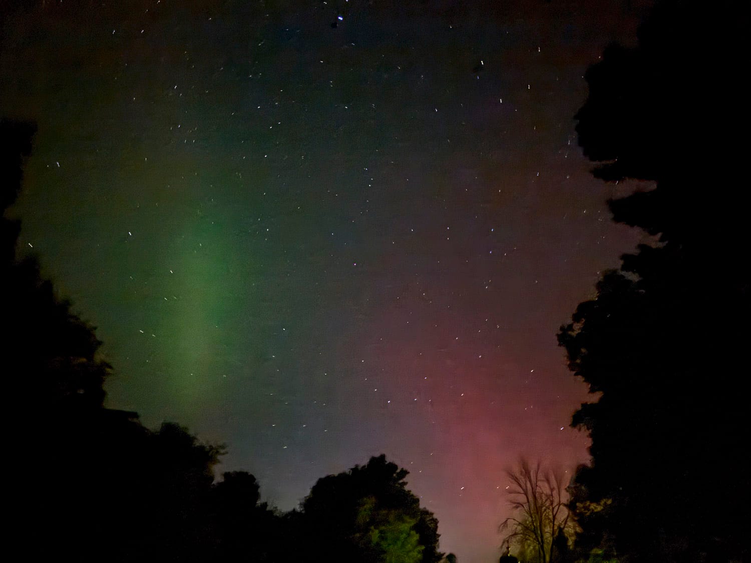 night sky photo