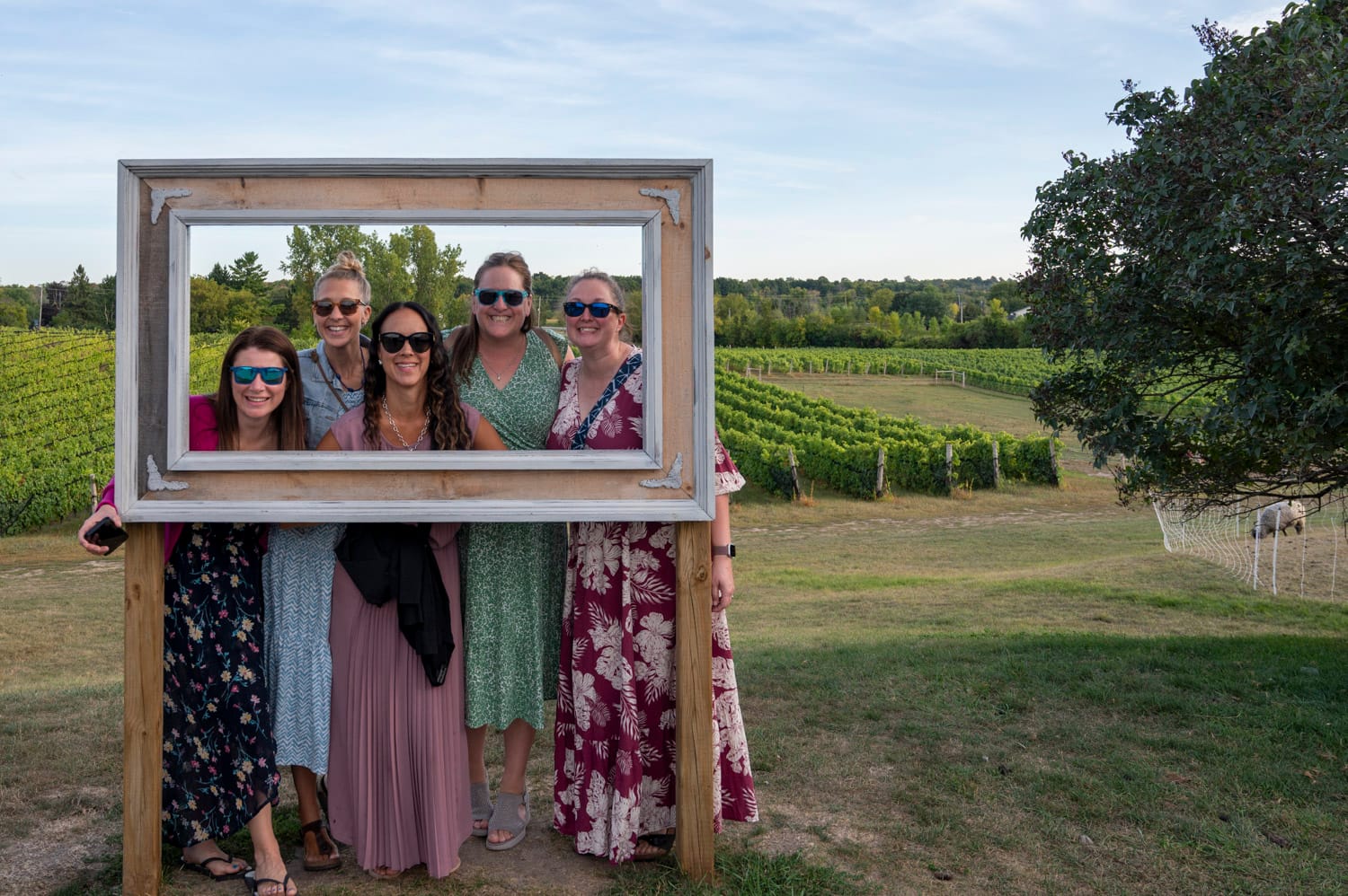 5 women use a frame photobooth to take a photo at the Scheuermann Vineyard
