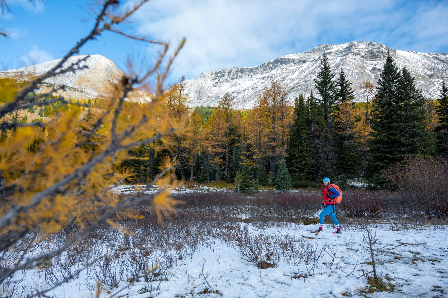 woman hiking through a forest during larch season banff