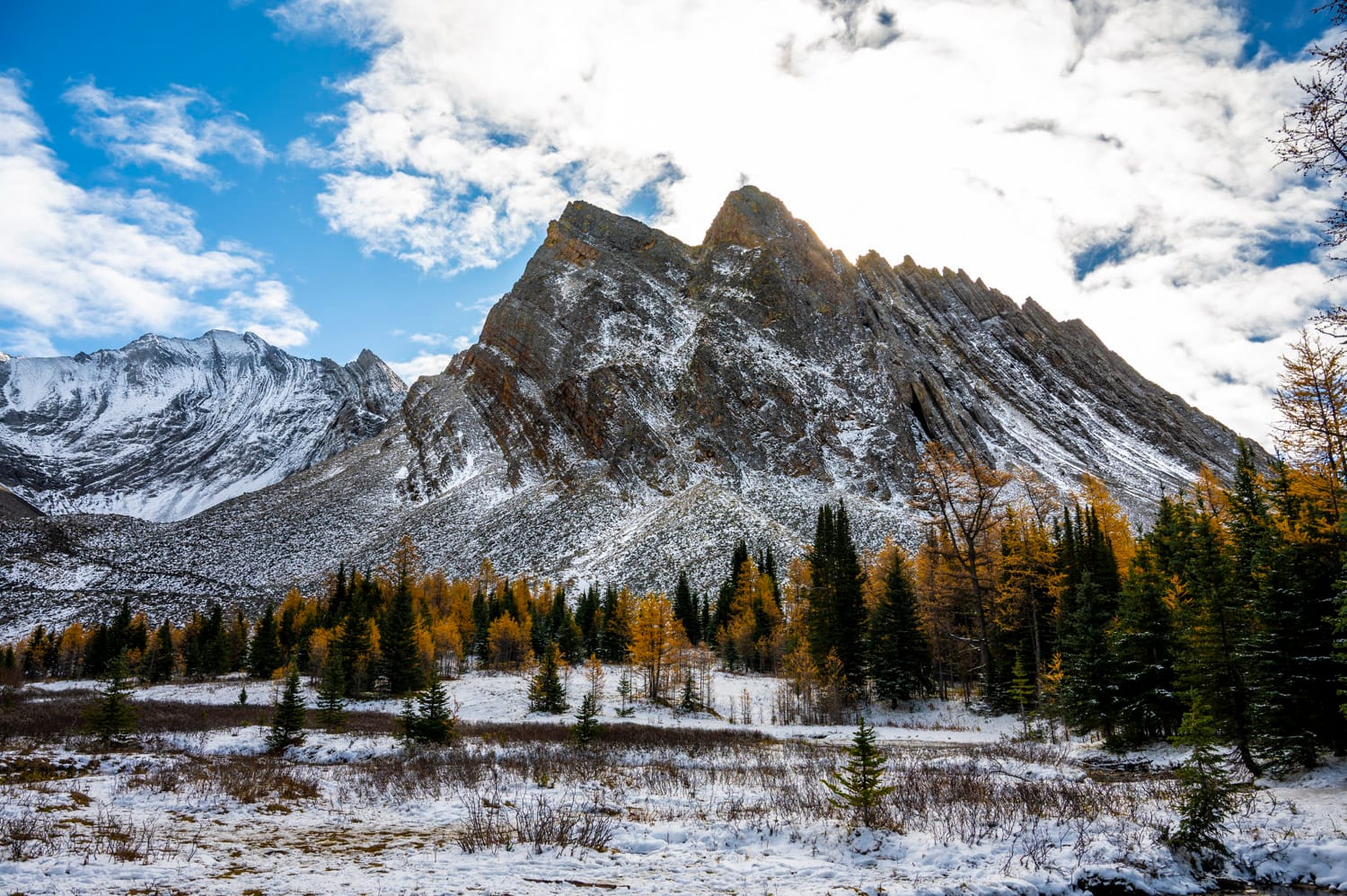 snow covered ground and jagged mountain peak during larch season banff