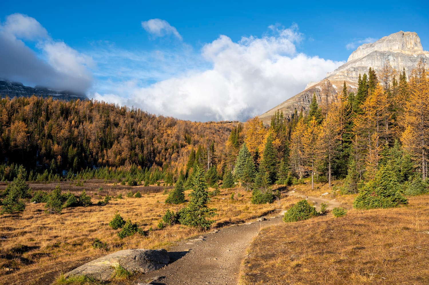 larch valley hike in banff national park