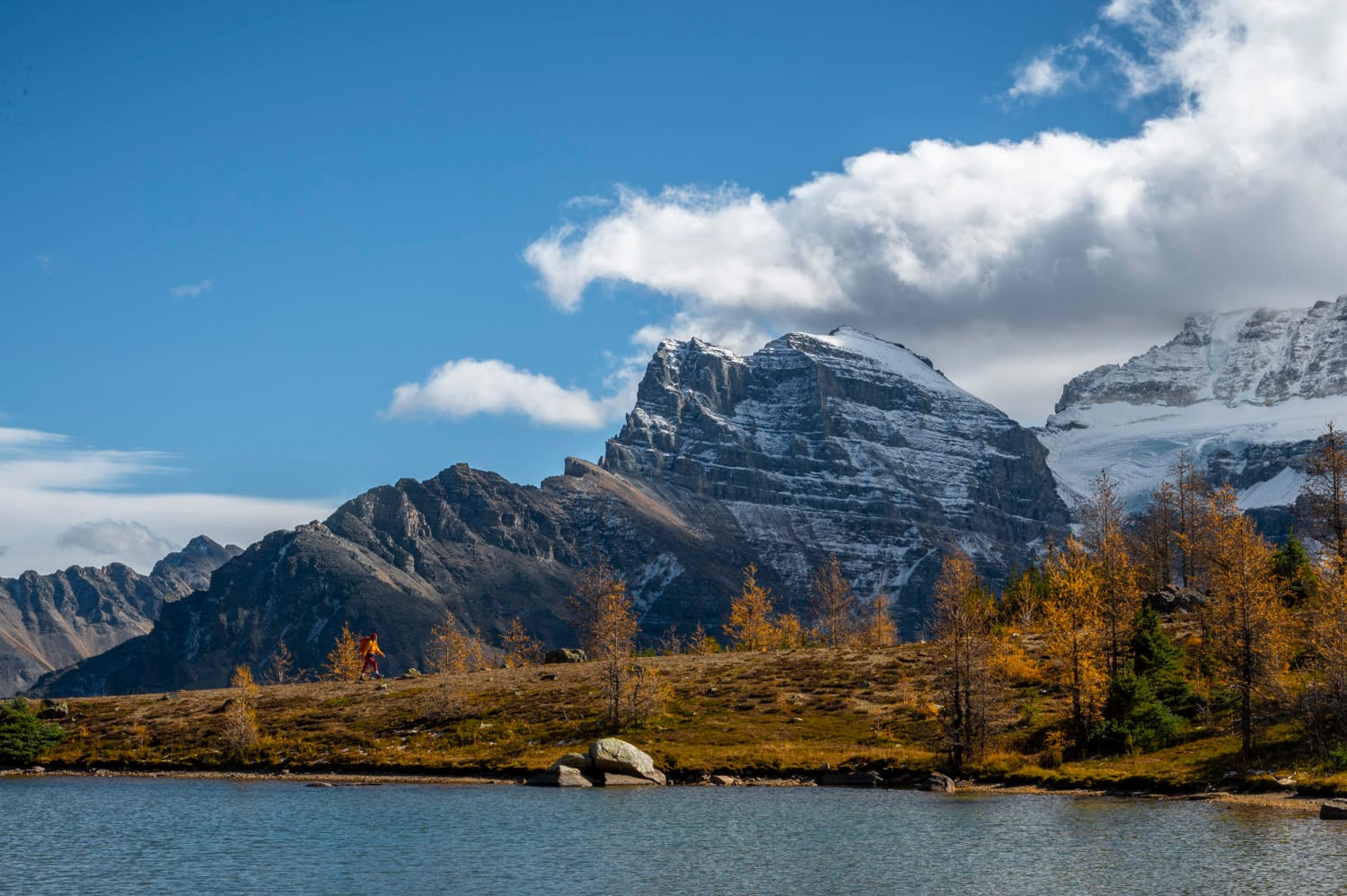 lake, larches and mountains in banff