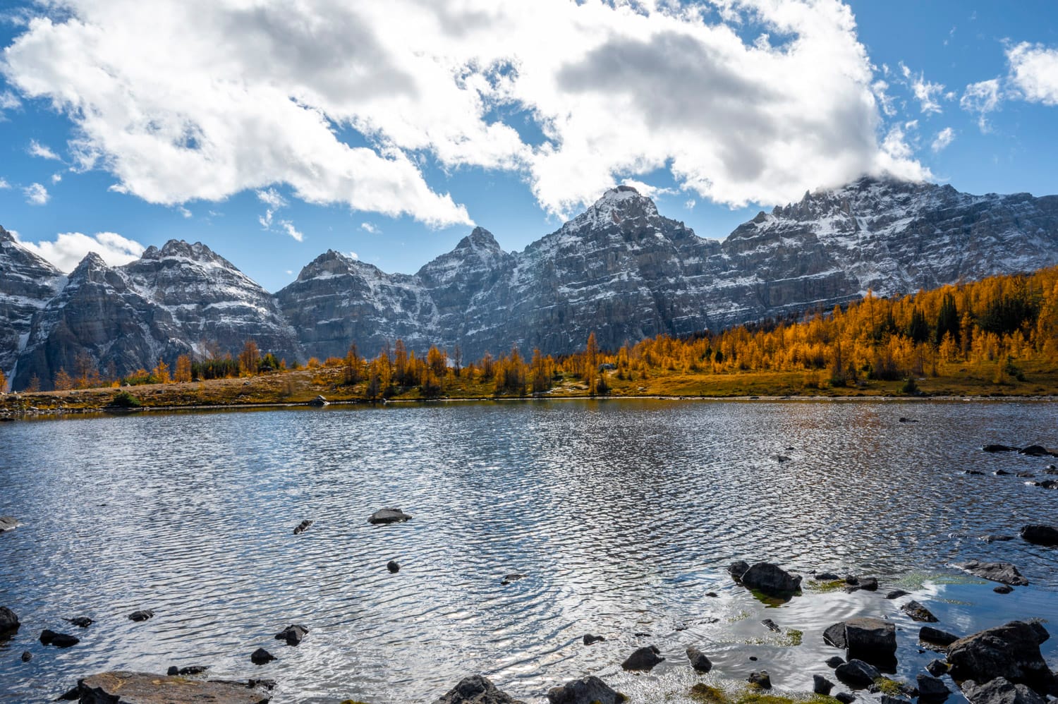 a mountain lake in the foreground with larch trees and mountains off in the distance