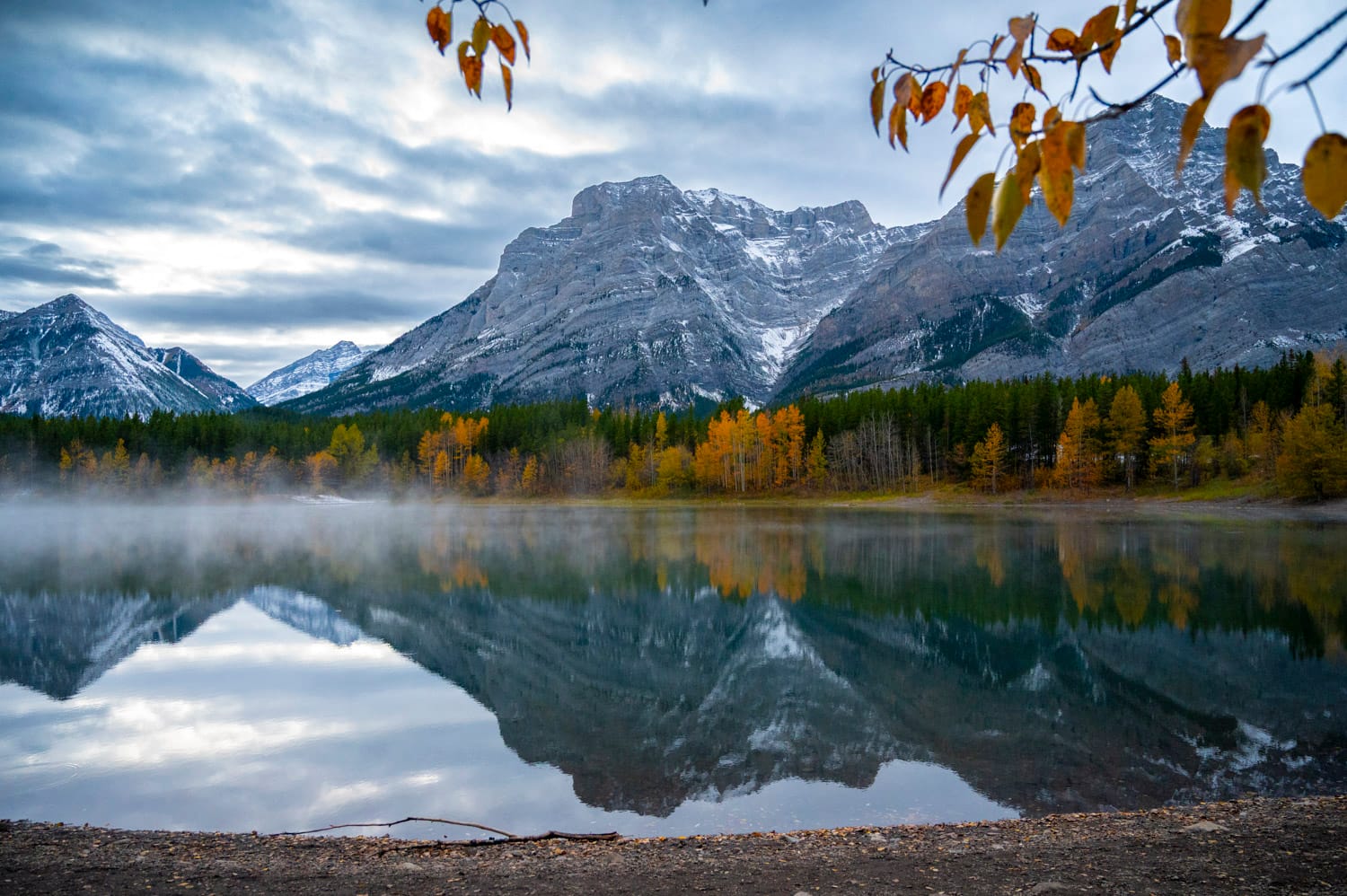 yellow fall foliage reflects off wedge pons in kananaskis