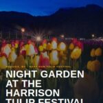 Night Garden at the Harrison Tulip Festival Pinterest Pin.