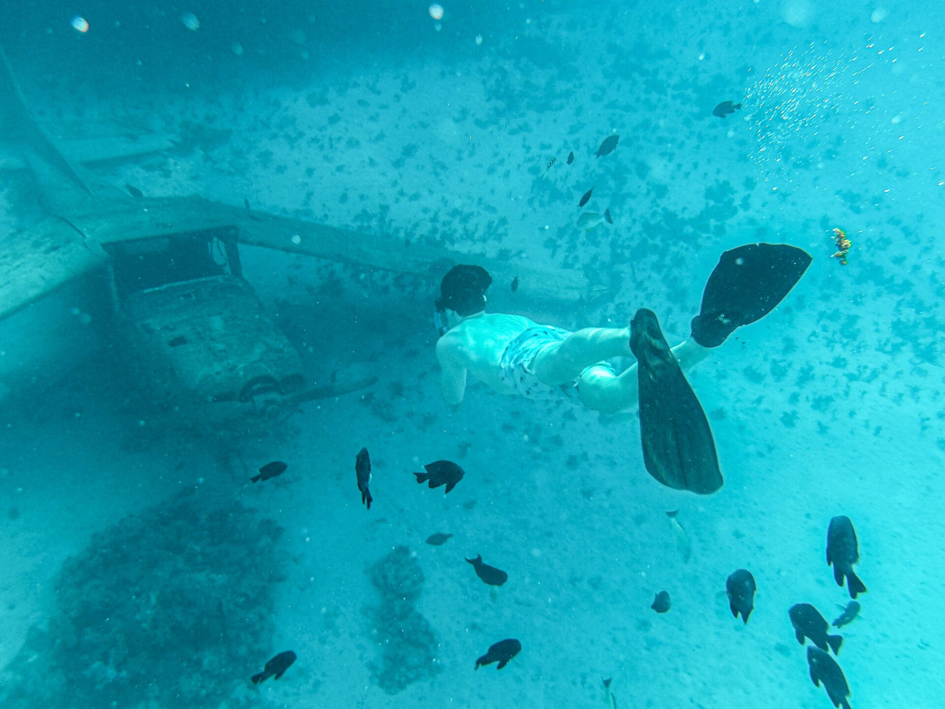 Tahiti Snorkeling