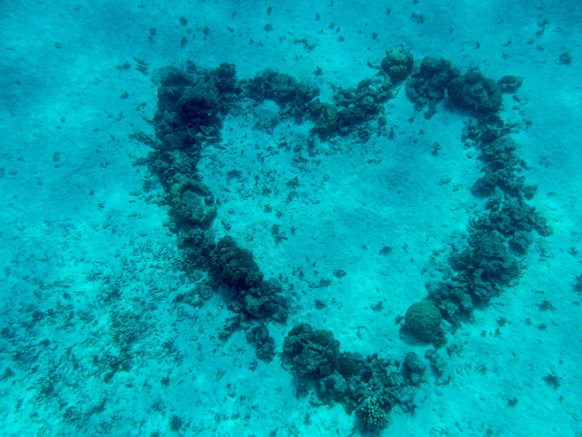 underwater heart made of rocks at Faa'a Aquarium