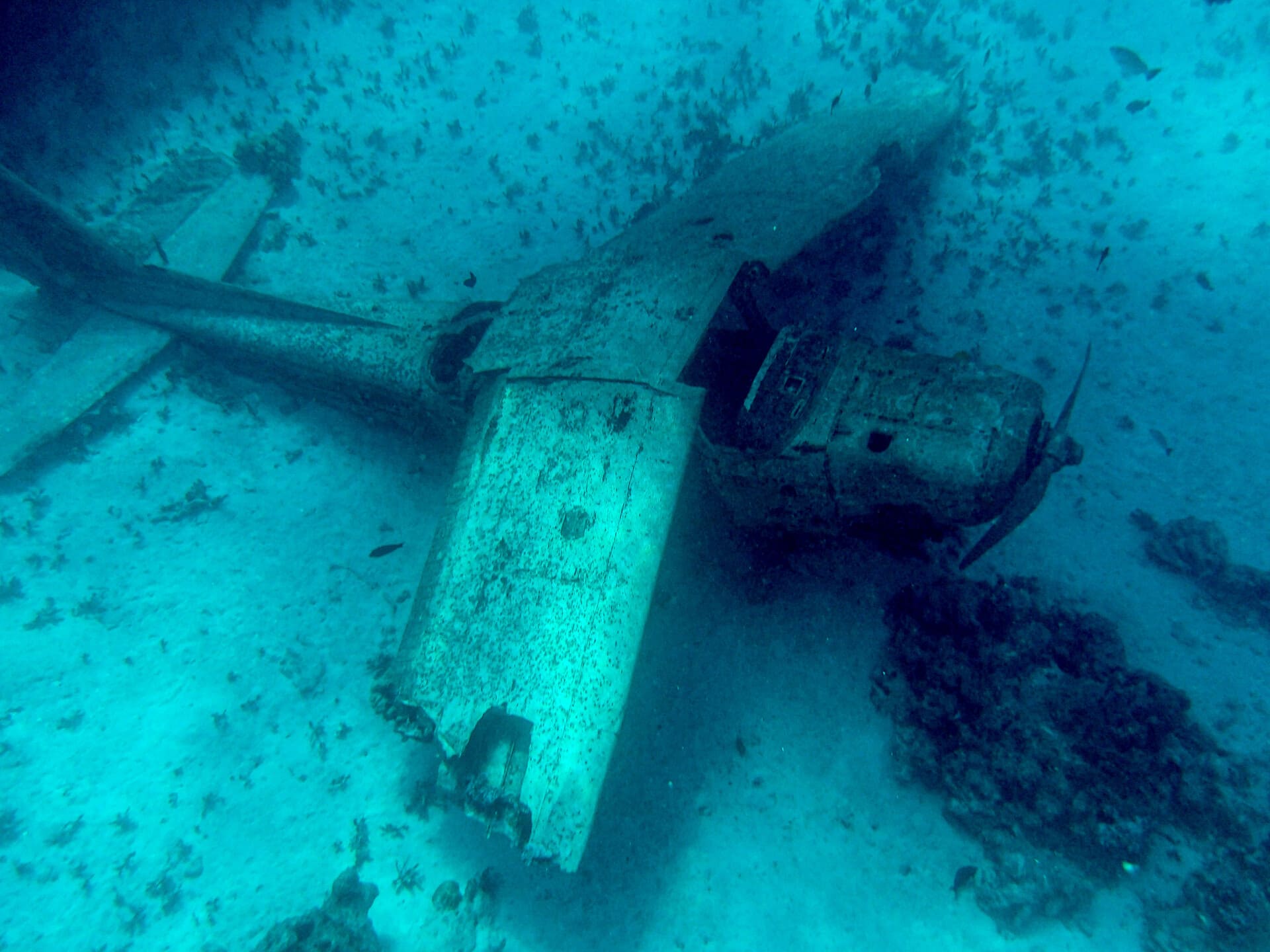 sunken plane at The Faa&rsquo;a Aquarium