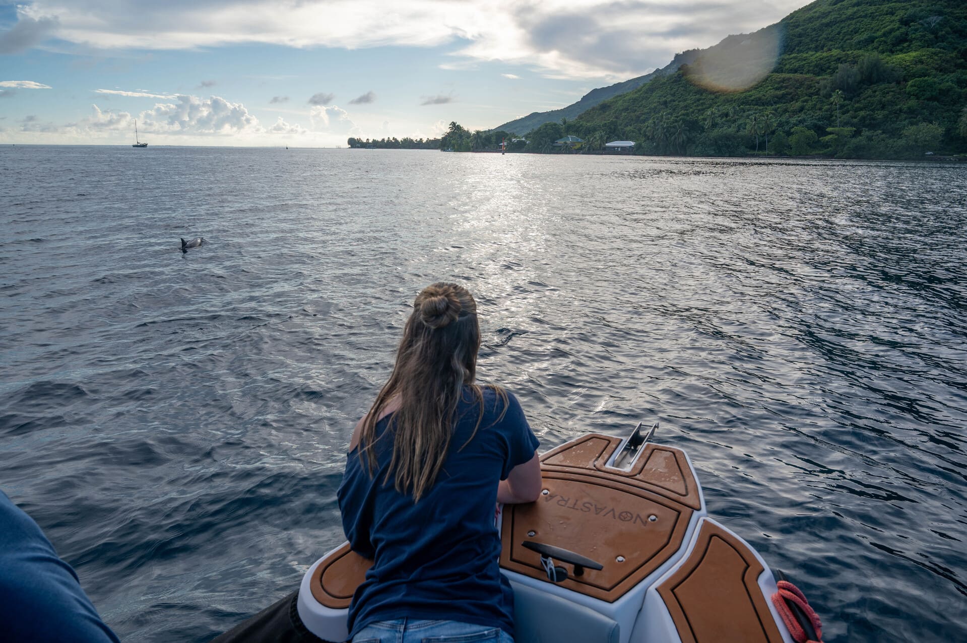 girl watching dolphins over a calm sea from a boat, green hills and a cloudy sky in the background