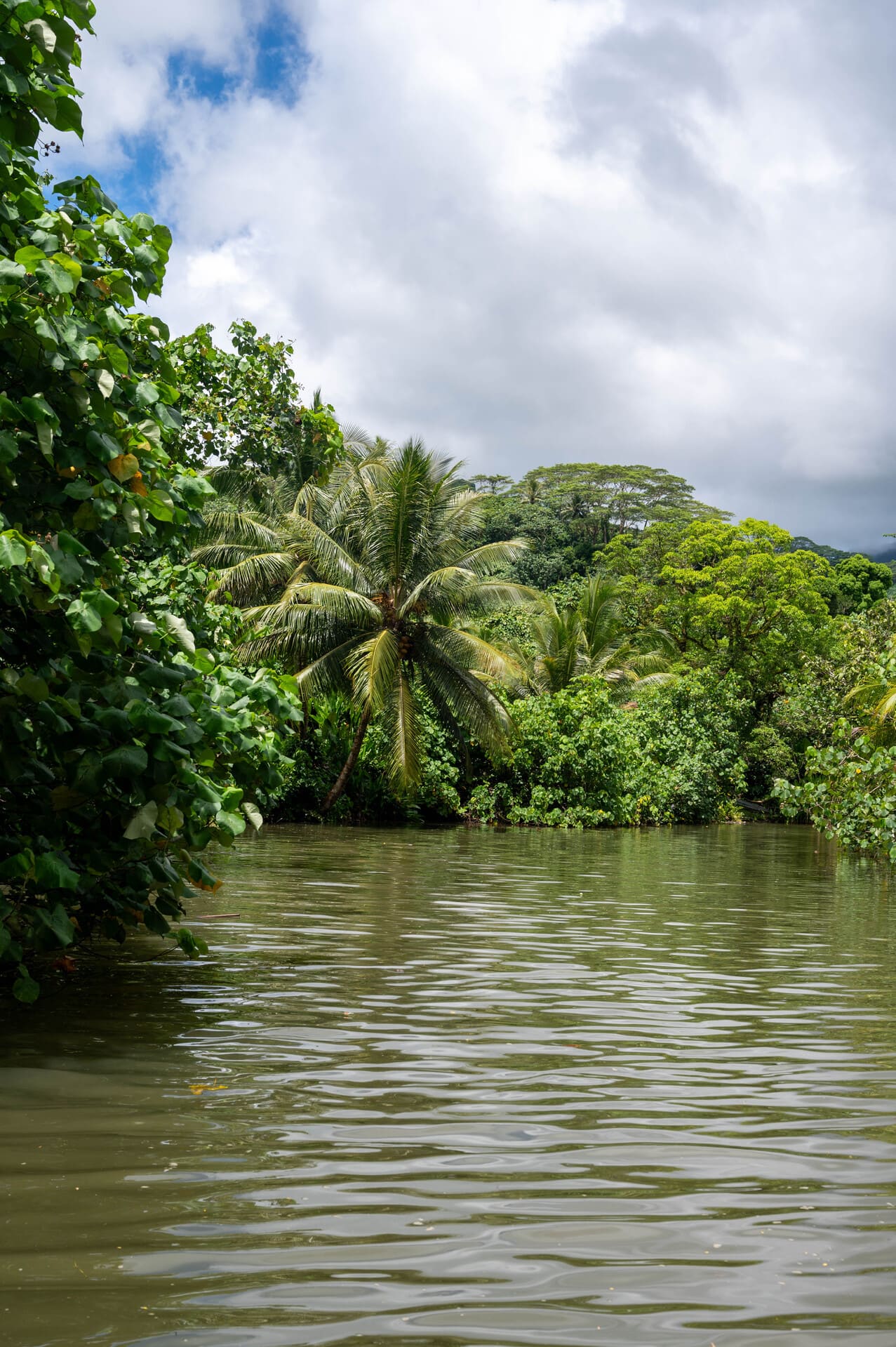 The Faaroa River — The Only Navigable River in Raiatea