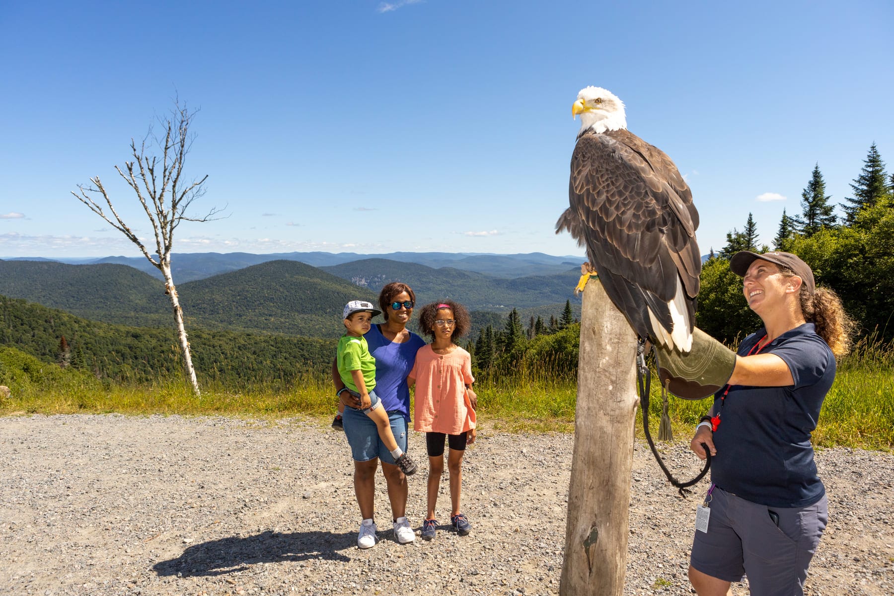 A handler with a bald eagle, and a family, stand on a gravel path overlooking mountains