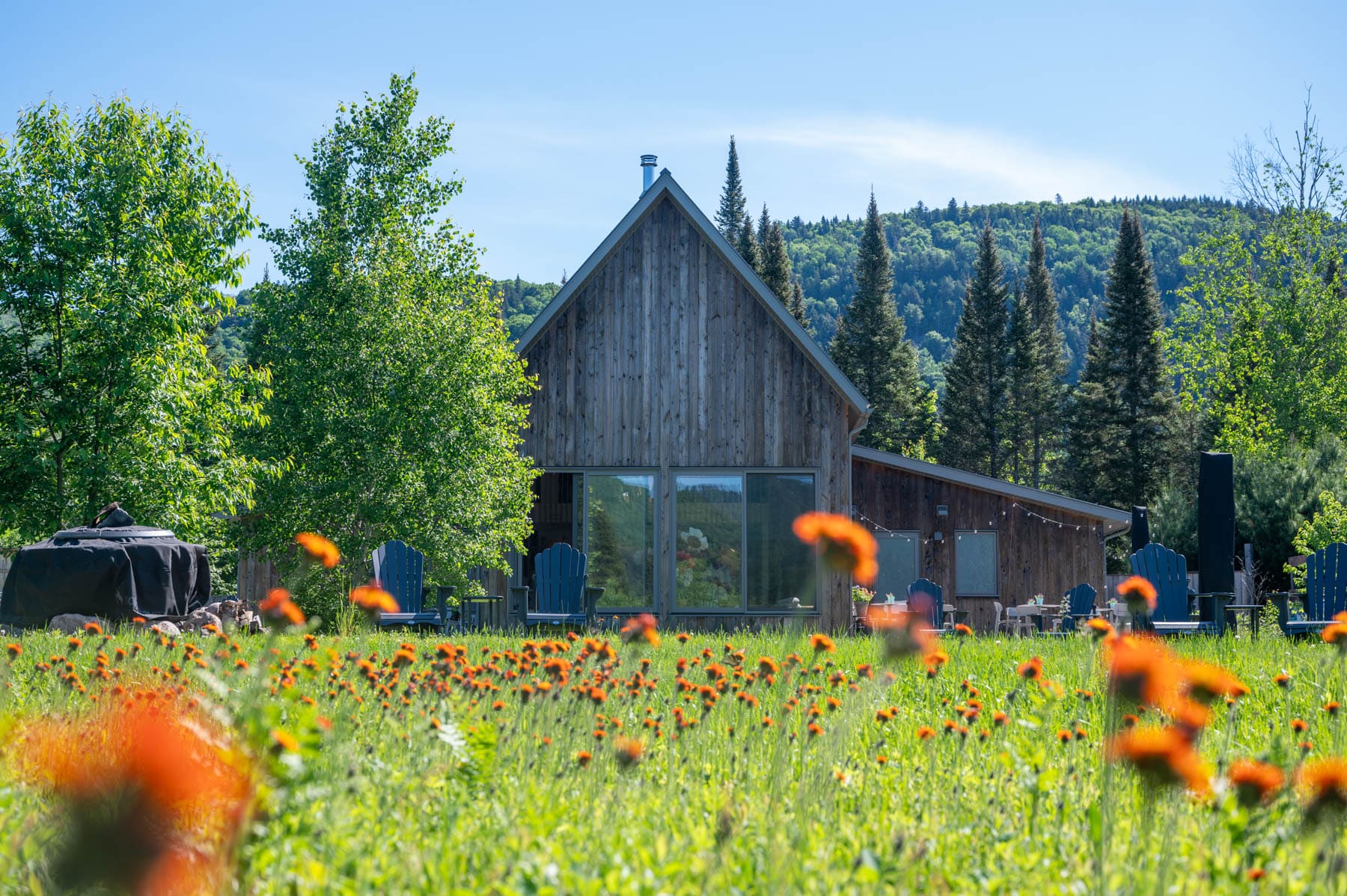 wooden cabin with orange wildflowers in the foreground, forest and blue sky in the background