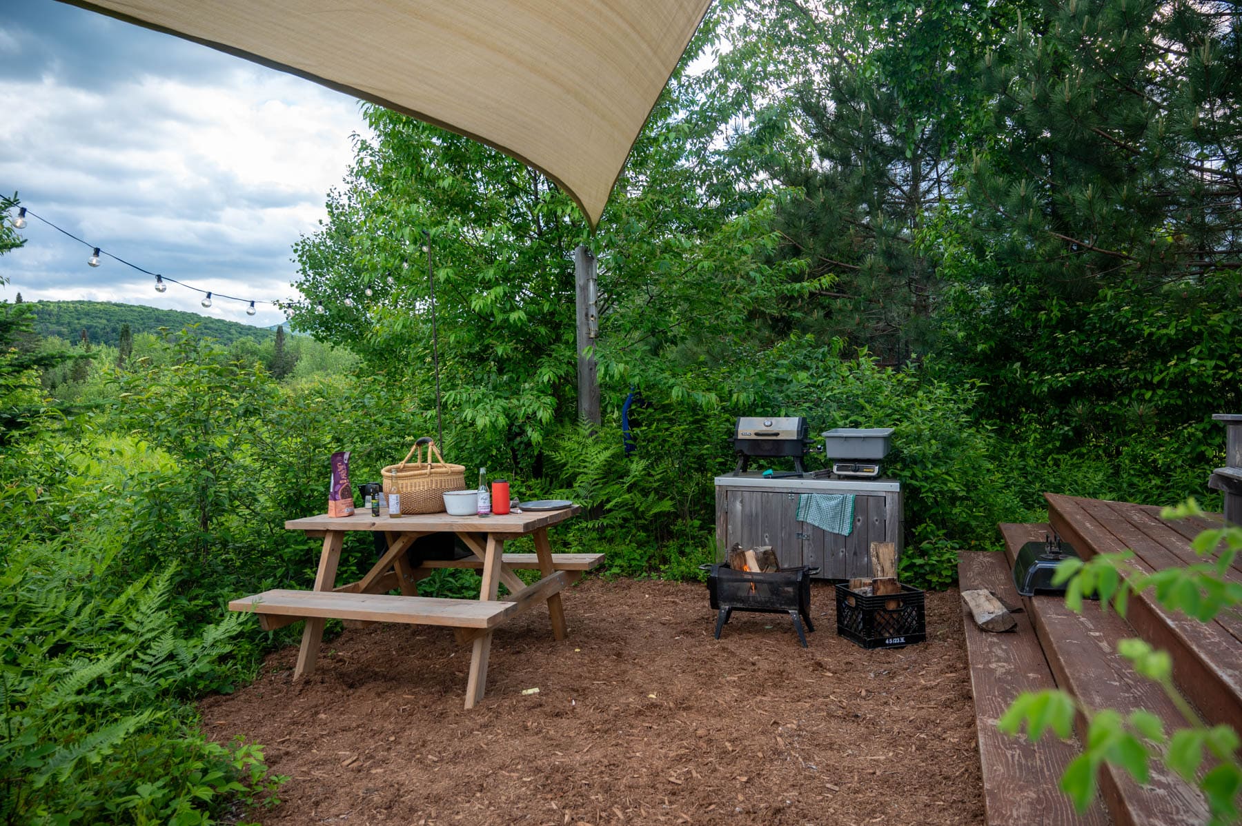 outdoor picnic area with table, grill, fire pit, surrounded by green trees