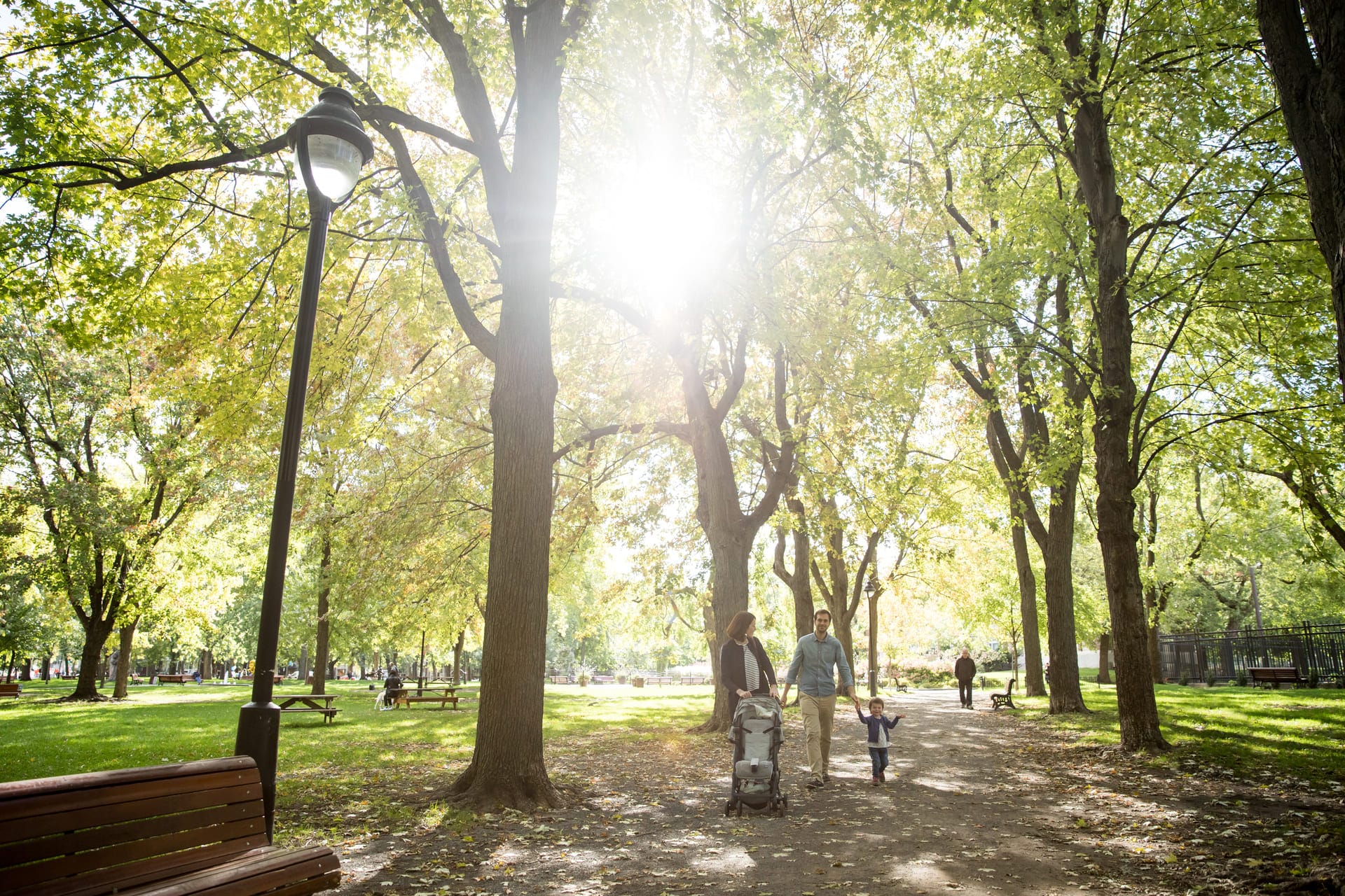 A family with a stroller and small child walks through Park Mont-Royal