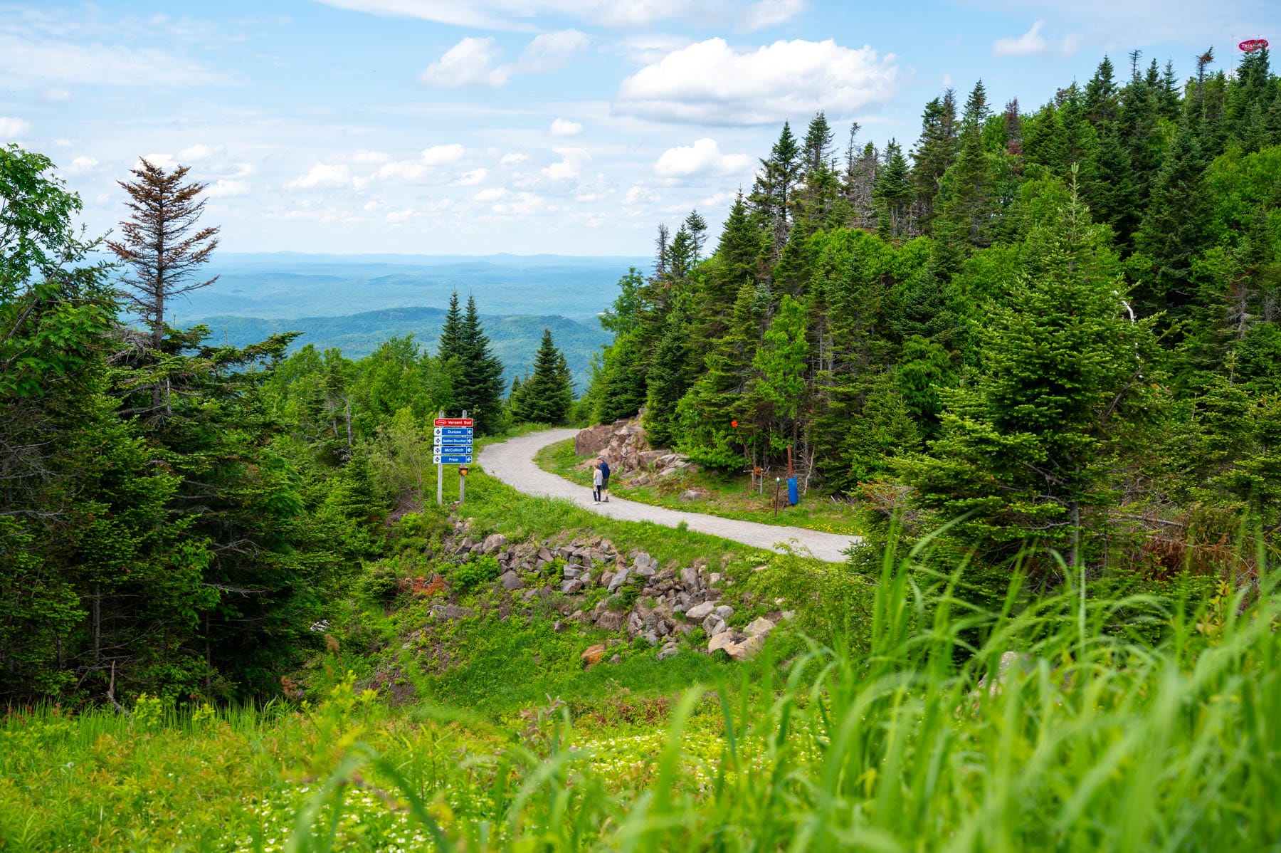 Gravel mountain path with a hiker, lush green trees, and distant blue hills under a partly cloudy sky