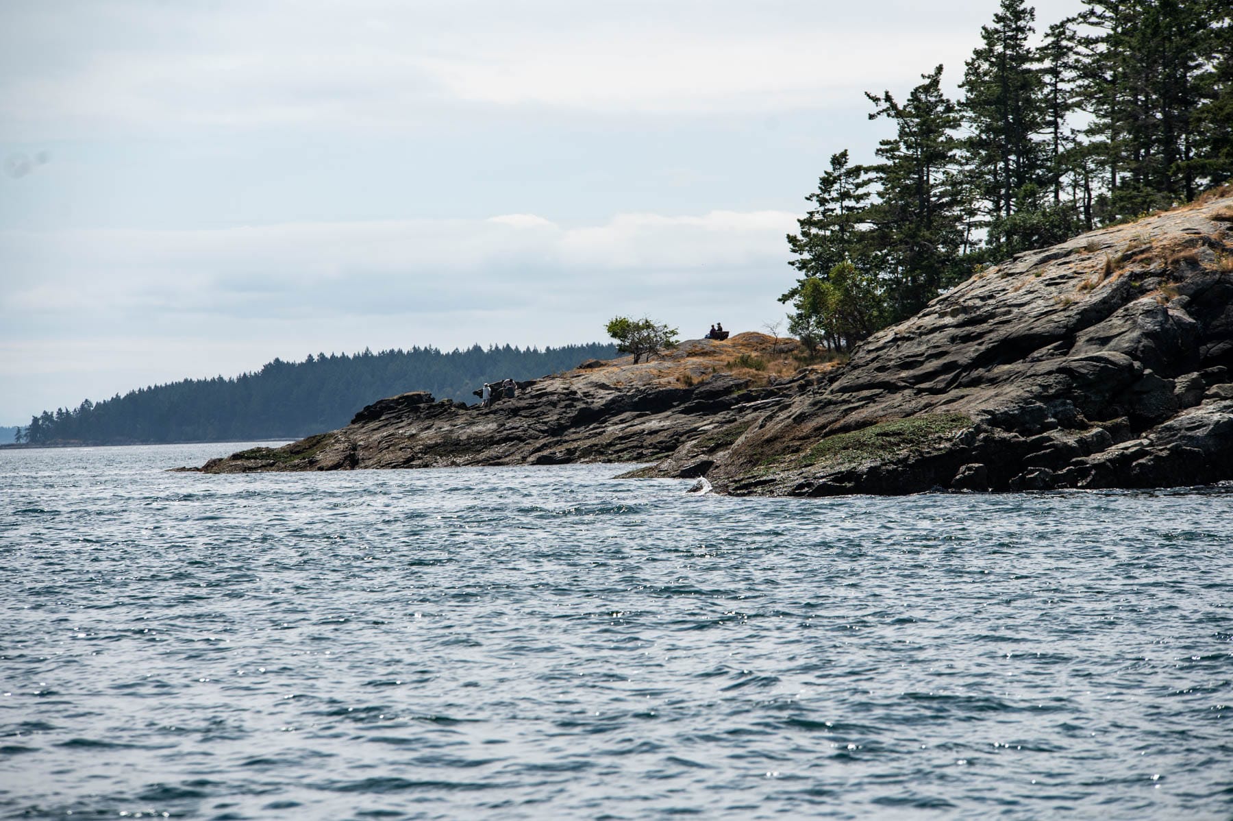 Rocky coastline with pine trees, sparse vegetation, and choppy water; figures are visible on the rocks while a tree-covered island looms in the distance