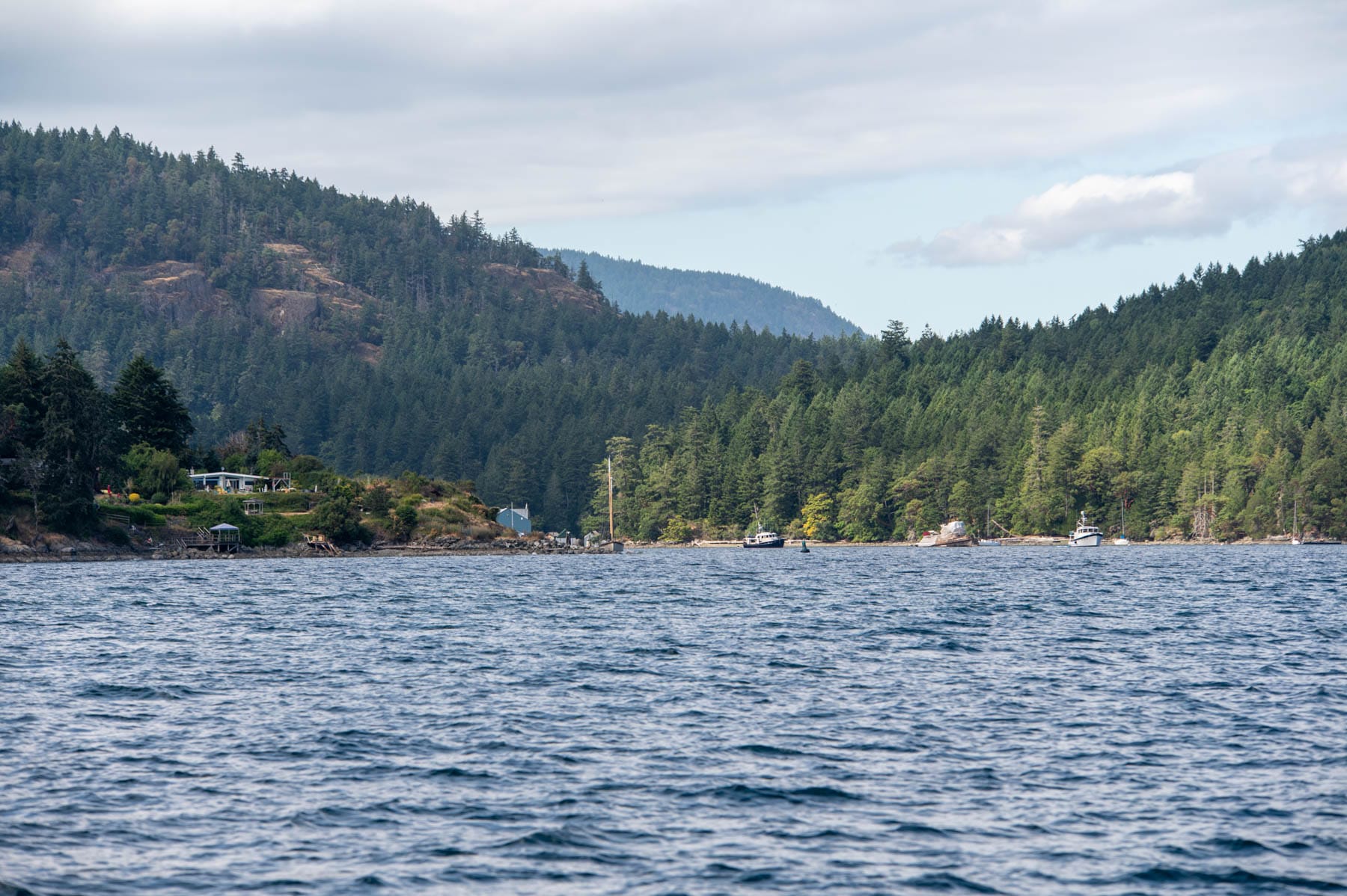 Wooded shoreline with houses and boats on a cloudy day, across choppy blue water