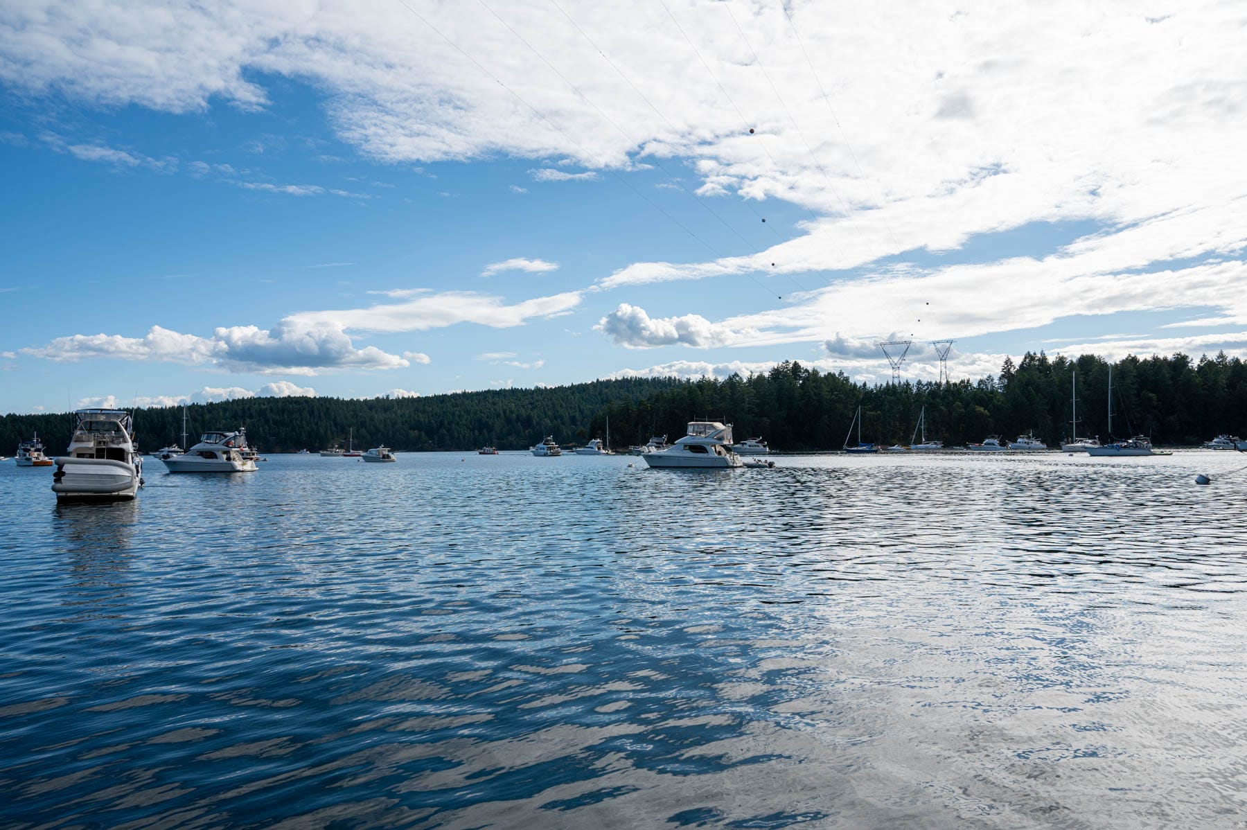 Boats anchored in calm water with a treelined shore and power lines above