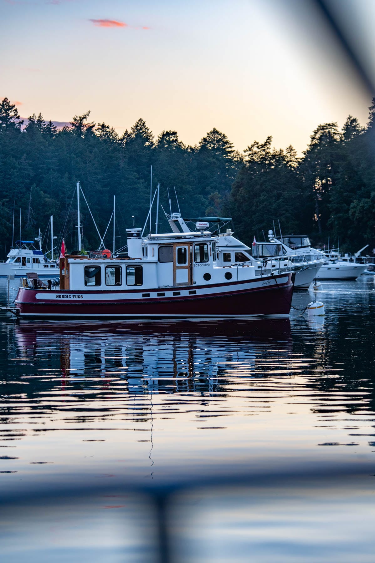Sailing Charter in Victoria - white and dark red Nordic Tug boat named "Sofie" docked on calm water at sunset with evergreen trees in the background