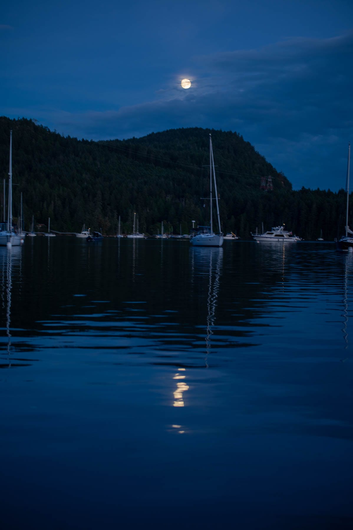 boats anchored at night in Montague Harbour Provincial Marine Park