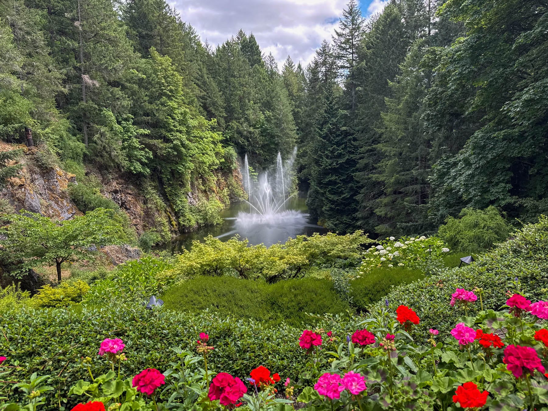 Butchart Gardens - garden pond with fountain, evergreen trees, red and pink geraniums, lush greenery, rocky bank, outdoor landscape
