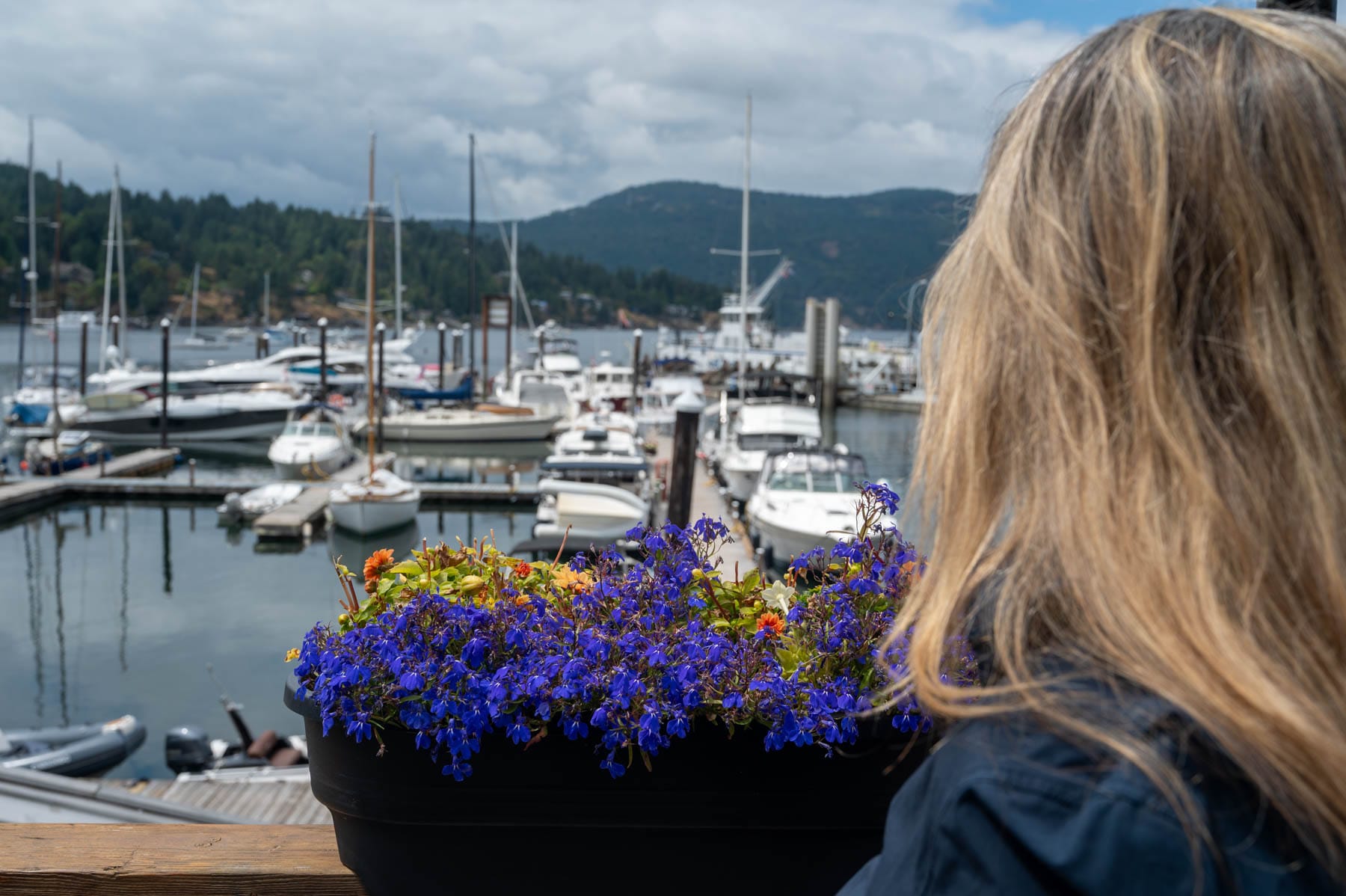 Tracy Sarich overlooking a marina with boats, yachts, and a planter of purple and orange flowers