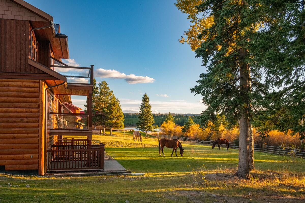 scenic view of a wooden log cabin at Free Rein Guest Ranch located along Fishing Highway 24 in the Cariboo Chilcotin Coast, British Columbia, Canada