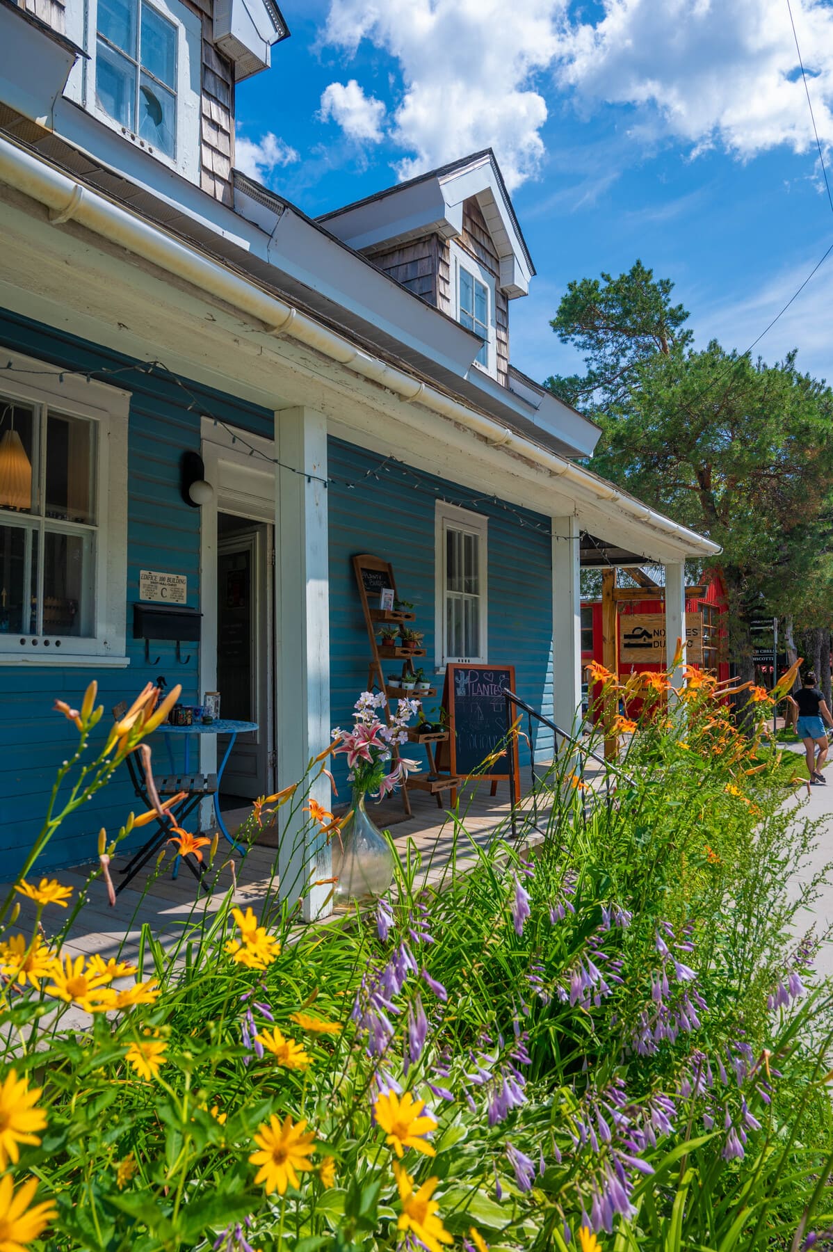 a vibrant blue-painted wooden shop with a covered front porch, white trim, and a lush front garden filled with yellow daylilies and purple hosta flowers