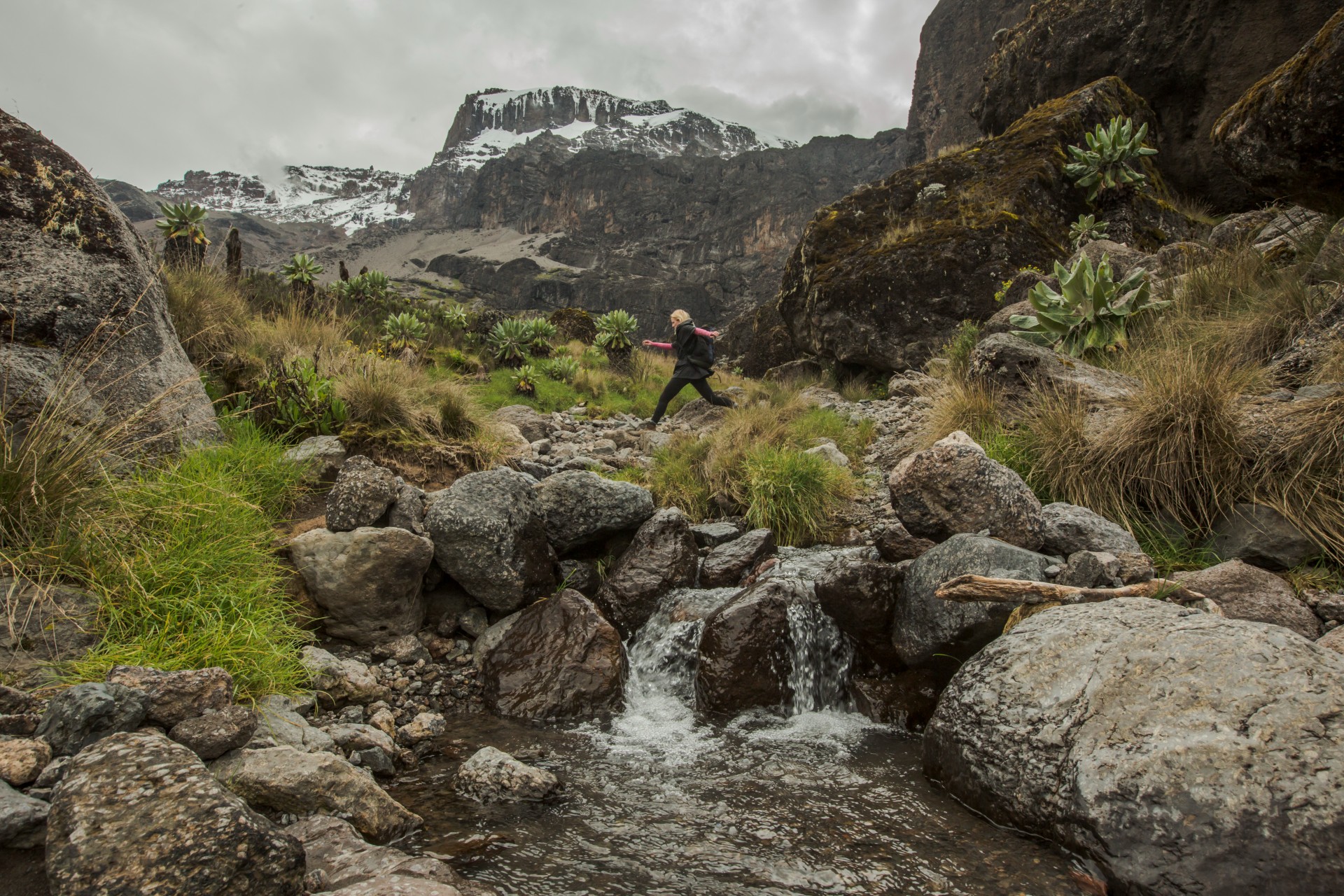GAdventures trips for 2027 - Tanzania Kilimanjaro Barranco Camp to Karanga Camp Route Female Traveller Hiking